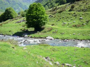 Paesaggi del Béarn - Ha dato Brousset in un verde