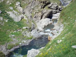 Paesaggi del Béarn - Ruscello di montagna e fiori selvatici nel Parco Nazionale dei Pirenei