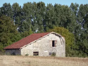 Paesaggi del Berry - Fienile in pietra, campo e alberi