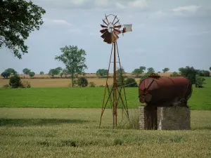 Paesaggi del Berry - Campo di grano, il vento e gli alberi