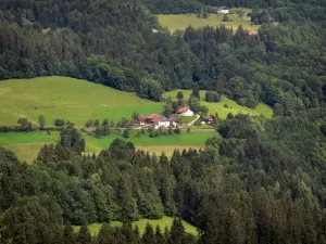 Paesaggi del Doubs - Cottages (case) circondato da prati (pascoli) e gli alberi