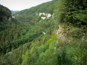 Paesaggi del Doubs - Gole del Doubs: vista del bosco (alberi) e scogliere (pareti di roccia) lungo il fiume Doubs