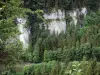 Paesaggi del Doubs - Gole del Doubs: scogliere (pareti rocciose), alberi e fiume Doubs