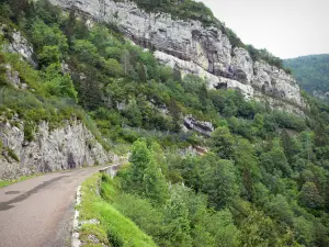 Paesaggi del Giura - Flumen Itinerario Gorge, pareti rocciose (scogli) e gli alberi nel Parco Naturale Regionale di Haut-Jura