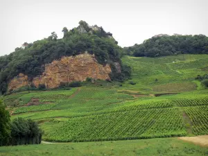 Paesaggi del Giura - Villaggio di Chateau-Chalon arroccato su uno sperone roccioso che domina i vigneti dei vigneti del Giura