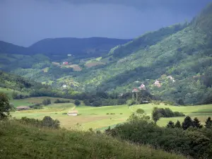 Paesaggi del Giura - Pascoli, campi, alberi, case e boschi