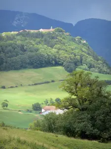 Paesaggi del Giura - Pascoli, colline, alberi e tetti