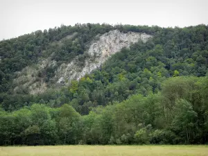 Paesaggi del Giura - Field, alberi (foresta) e rock