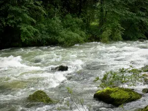 Paesaggi del Giura - River, rocce e alberi