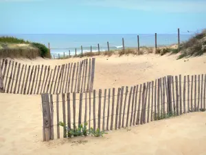 Paesaggi delle Landes - Ganivelles all'ingresso di una spiaggia di Hossegor