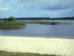 Paesaggi delle Landes - Sandy Sanguinet affaccia sul Cazaux e Sanguinet