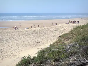 Paesaggi delle Landes - Costa d'Argento: si affaccia sulla spiaggia di sabbia della località balneare di Mimizan-Plage