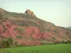 Paesaggi della Linguadoca - Field, rocce rosse e arbusti