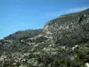 Paesaggi del litorale della Costa Azzurra  - Vista sulle montagne a picco sul mare