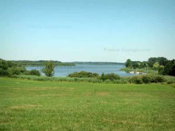 Paesaggi della Lorena - Prato, alberi e lago con barche (barche a vela)