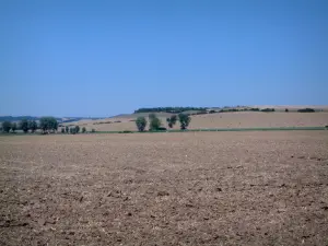 Paesaggi della Lorena - Campo di terra, alberi e balle di fieno in background