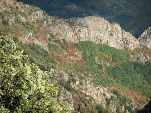 Paesaggi della Lozère - Chassezac gole, nel Parco Nazionale delle Cévennes