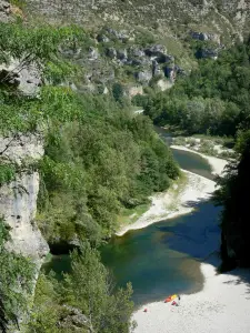 Paesaggi della Lozère - Tarn gole - Parco Nazionale delle Cévennes: fiume Tarn, alberi e pareti rocciose