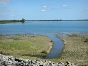 Paesaggi della Marne - Lac du Der-Chantecoq (corpo di acqua) e le sue sponde