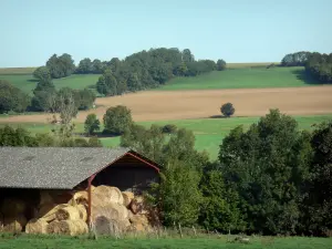 Paesaggi della Marne - Hay tettoia, alberi, prati e campi