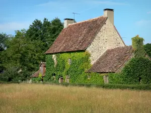 Paesaggi della Mayenne - Bordo di un prato, casa in pietra ricoperta di edera
