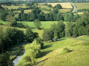 Paesaggi della Mayenne - Mayenne boschetto