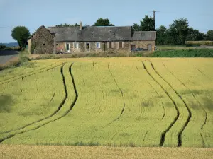 Paesaggi della Mayenne - Azienda agricola circondata da campi