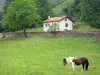 Paesaggi del Paese basco - Aldudes valle: cavallo in un prato nei pressi di una casa bianca con le persiane rosse circondate da alberi