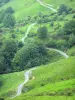 Paesaggi del Paese basco - Percorso di una verde collina