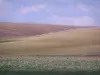 Paesaggi della Piccardia - Successione dei campi