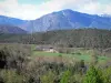 Paesaggi dei Pirenei Orientali - Casa circondata da prati, boschi e montagne