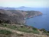 Paesaggi dei Pirenei Orientali - Costa Vermilion: vista sulla costa rocciosa, i vigneti collinari di Banyuls vigna e il Mar Mediterraneo