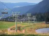 Paesaggi del Puy-de-Dôme - Parco Naturale Regionale dei Vulcani d'Alvernia: seggiovia (sciovia) della stazione sciistica di Mont-Dore, erba e gli alberi del Sancy (Monts Dore)