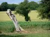 Paesaggi della Sarthe - Tronco di un albero morto circondato da campi