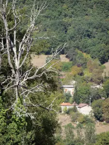 Paesaggi del Tarn-et-Garonne - Case circondate da alberi