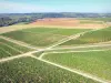 Paesaggi della Yonne - Veduta aerea del vigneto di Chablis con i suoi campi di vite intervallati da sentieri e strade