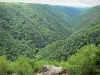 Painter's Rock site - Panorama of the green gorge of the Cère