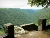 Painter's Rock site - Panorama of the green gorges of Cère from the viewpoint of the Rock Painter