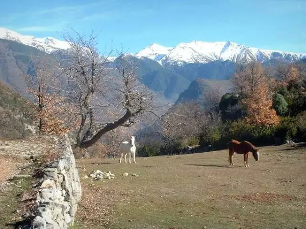 El País Alto - Guía turismo, vacaciones y fines de semana en Alpes Marítimos