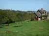 Paisagens da Normandia - Casa e macieiras (árvores frutíferas) em um prado