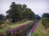 Paisagens do Loire - Rio forrado com flores, pequena ponte e árvores