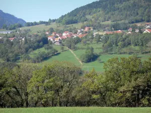 Paisajes de Ain - Parque Natural Regional del Alto Jura (Jura): casas rodeadas de prados y árboles