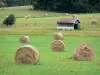 Paisajes de Alto Marne - Cabaña de madera y montones de heno en un campo