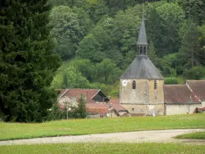 Paisajes de Alto Marne - Campanario de la iglesia Saint-Pierre-ES-Gravámenes y techos de casas en el pueblo de Cirey-sur-Blaise rodeado de vegetación, en el valle del Blaise