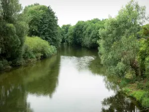 Paisajes de Alto Marne - Valle del Marne: río Marne alineado con los árboles
