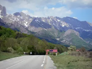 Paisajes de Altos Alpes - Napoleón árboles de carretera con vistas a las montañas