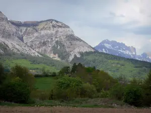 Paisajes de Altos Alpes - Montañas, bosques y los árboles