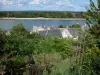 Paisajes de Anjou - Valle del Loira: jardines y casas en el pueblo de Montsoreau con vistas al río Loira, a la orilla opuesta y el bosque (árboles), las nubes en el cielo en el Parque Natural Regional Loire-Anjou-Touraine