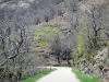 Paisajes de Ardèche - Parque Natural Regional de los Monts d'Ardèche - Castaño País: alameda pequeña