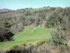 Paisajes de Ardèche - Verde paisaje se compone de árboles y prados